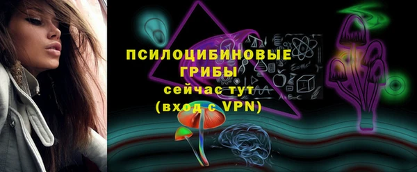 spice Алексин