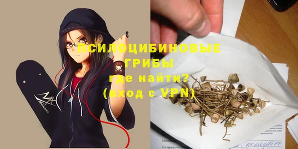 spice Алексин