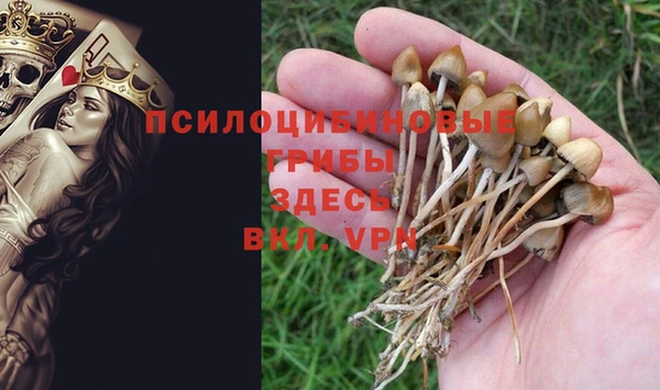 spice Алексин