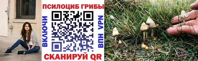 Галлюциногенные грибы MAGIC MUSHROOMS Волхов
